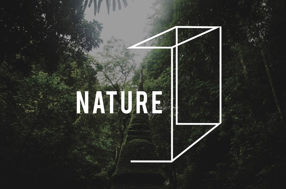 the word “nature” with a geometric rectangular shape in white color and a forest in the  background